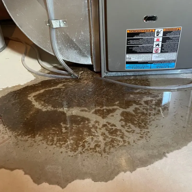 Pipe Burst and Leak Restoration in Henryetta, OK